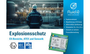 Explosion protection in the process industry: EX zones, ATEX and sensor technology explained simply