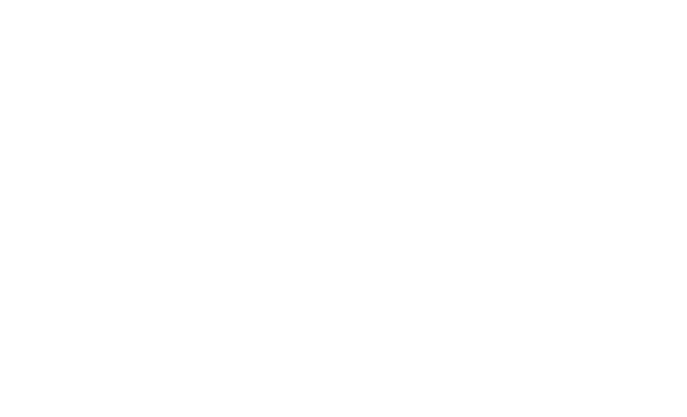 ZILA Logo