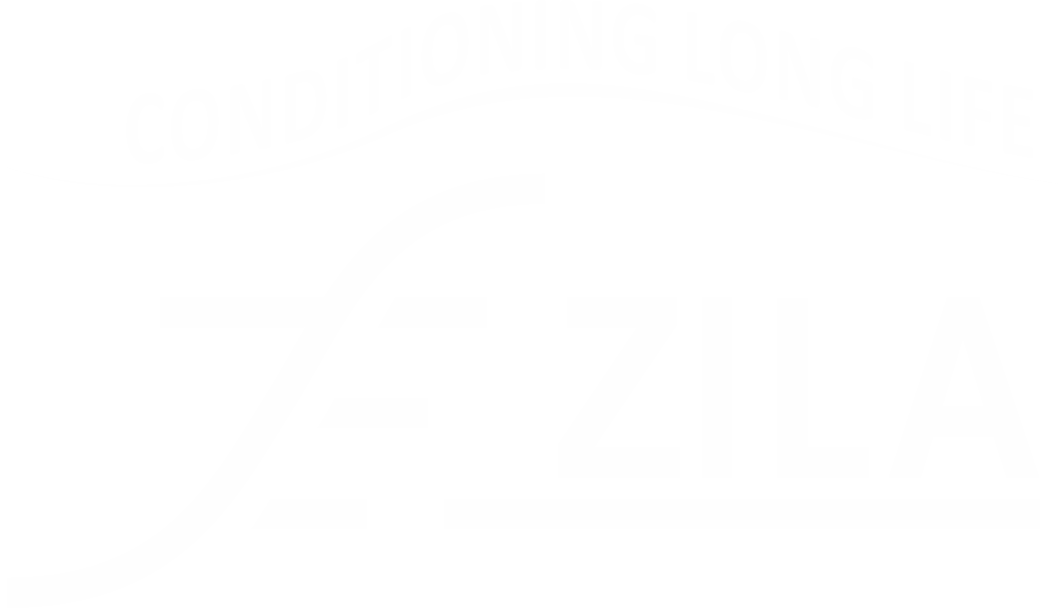 Logo ZILA